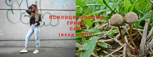 крисы Бабаево