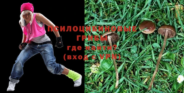 jwh Нея
