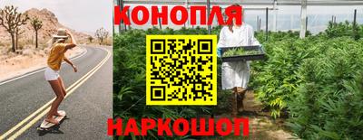 прущие грибы Кинель