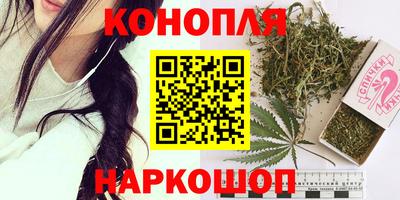2c-b Кингисепп