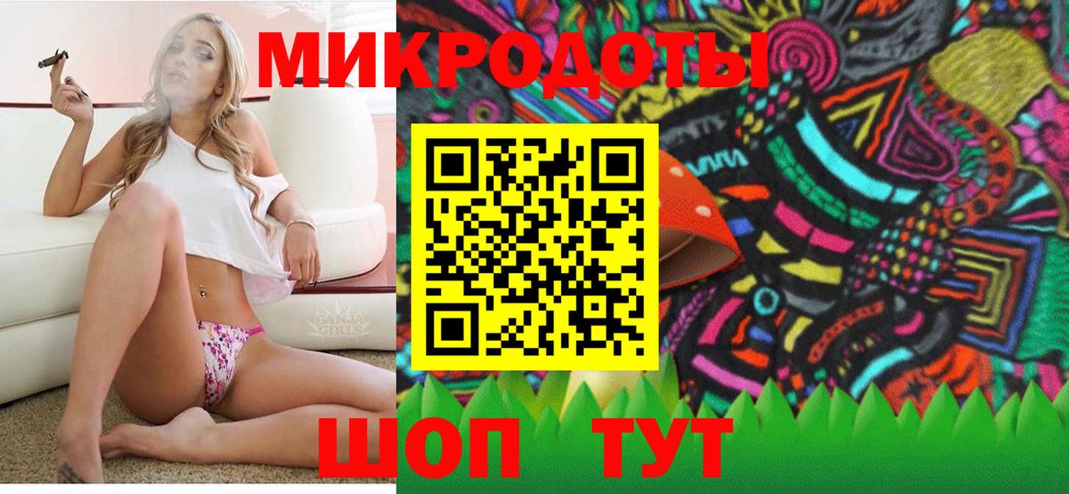 Псилоцибиновые грибы Psilocybine cubensis Нижний Тагил