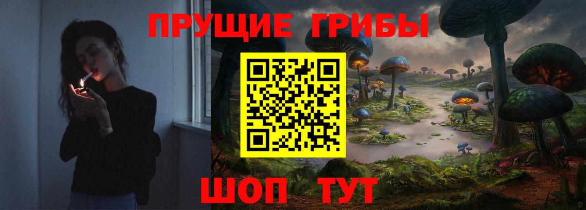 Галлюциногенные грибы Psilocybine cubensis  Вход с VPN  Нижний Тагил 